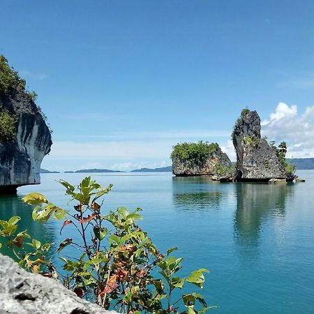 Raja Ampat Dive Lodge Pulau Mansuar Екстериор снимка